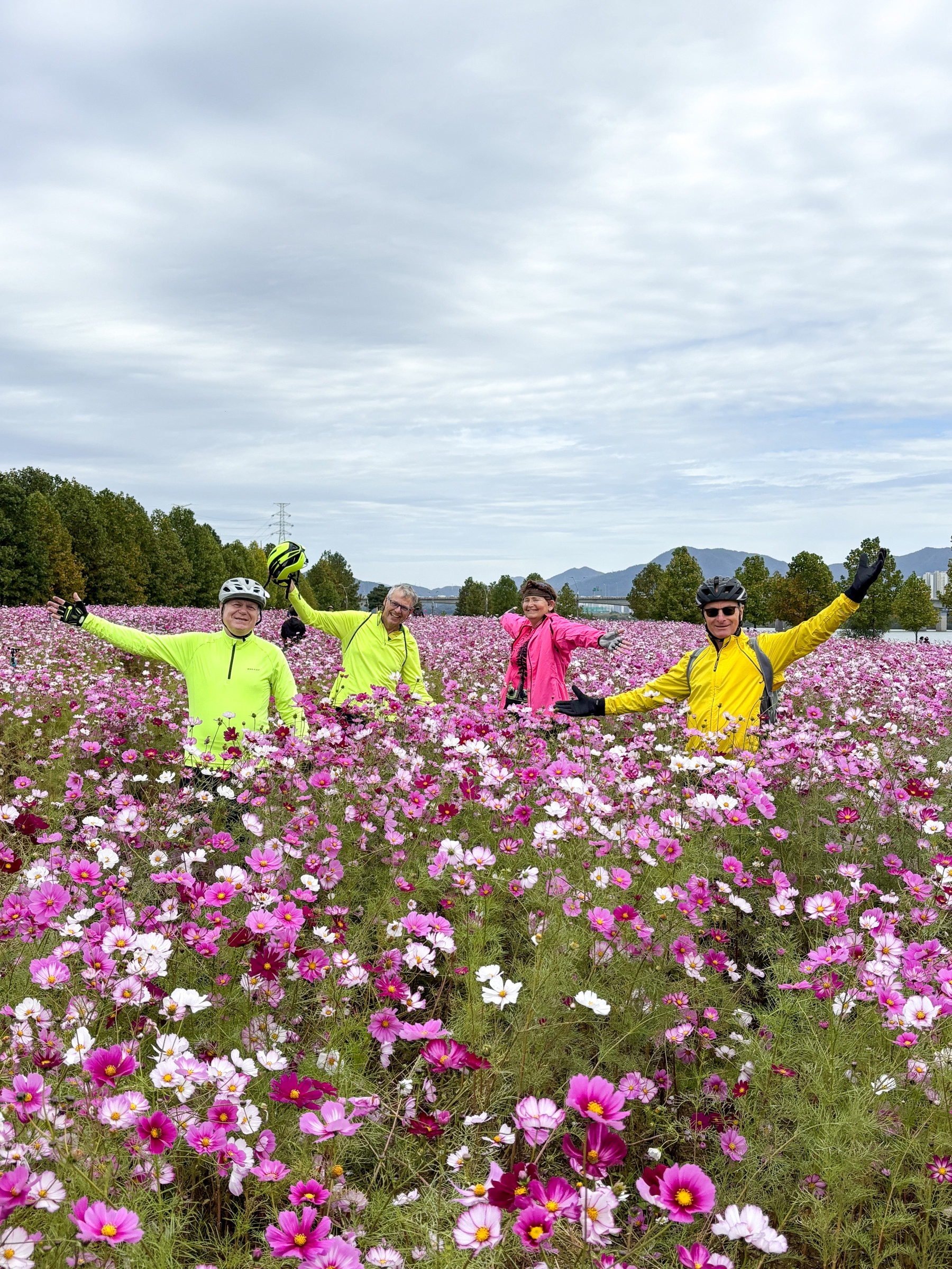 four of us in pink cosmos fields.jpg